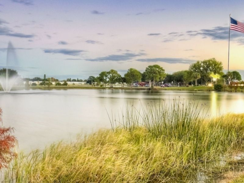 dentist in pinellas park